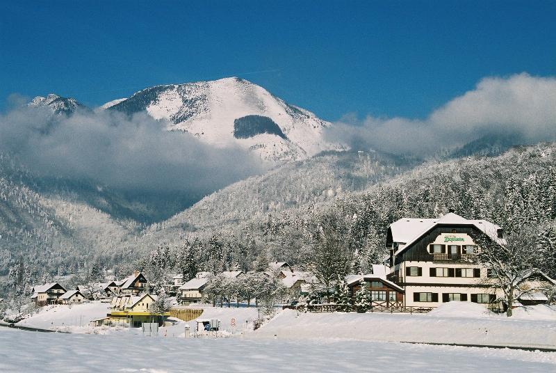 Hotel Oskar Zaplata Preddvor Exteriér fotografie